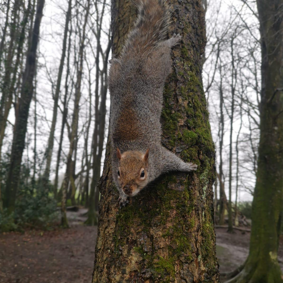 6 way to entertain the little ones..