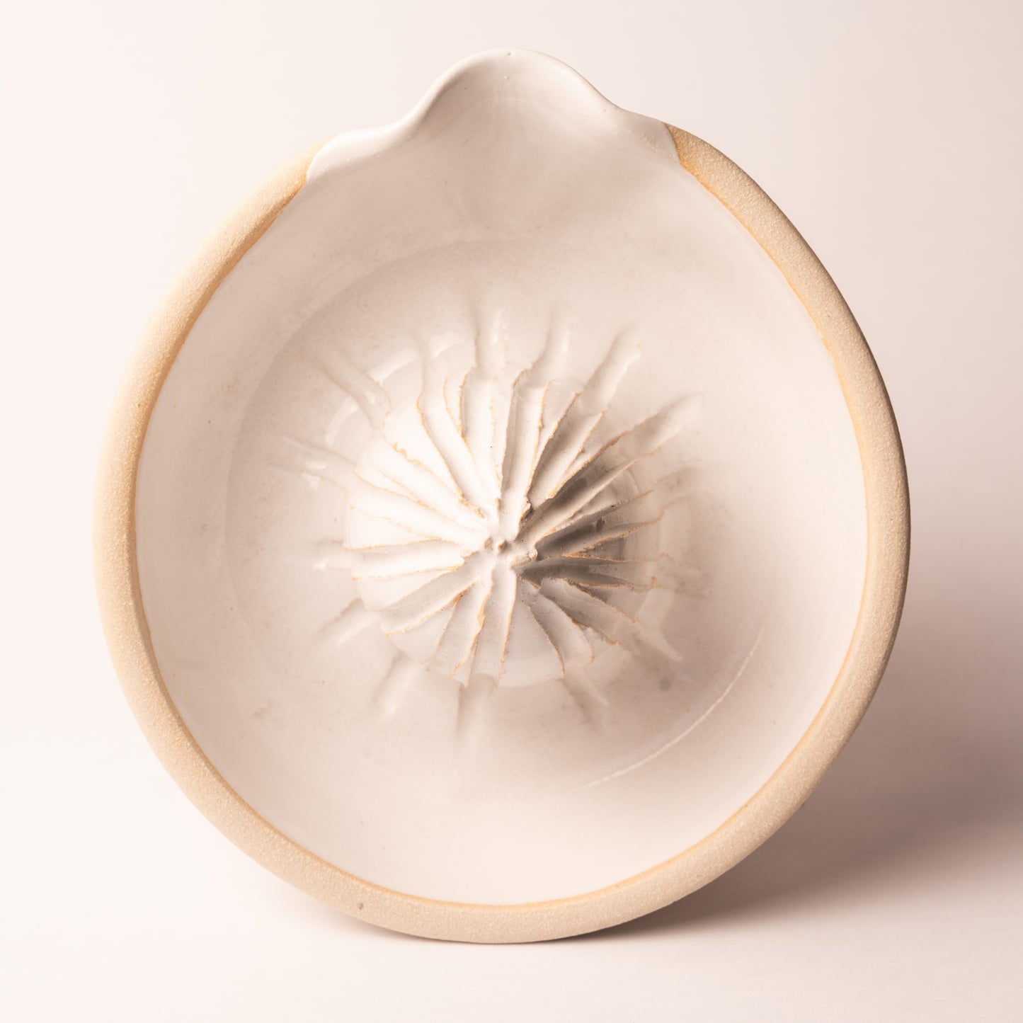 Ceramic Juicer - The St. Ives Co.