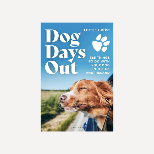 Dog Days Out book