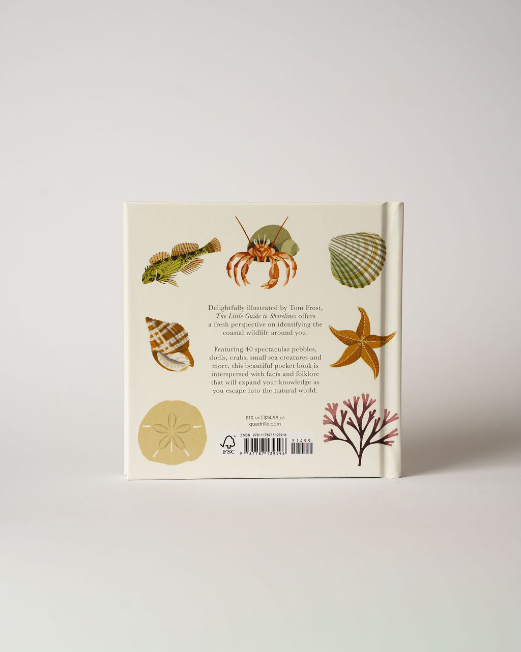 The Little Guide to Shorelines Book - The St. Ives Co.