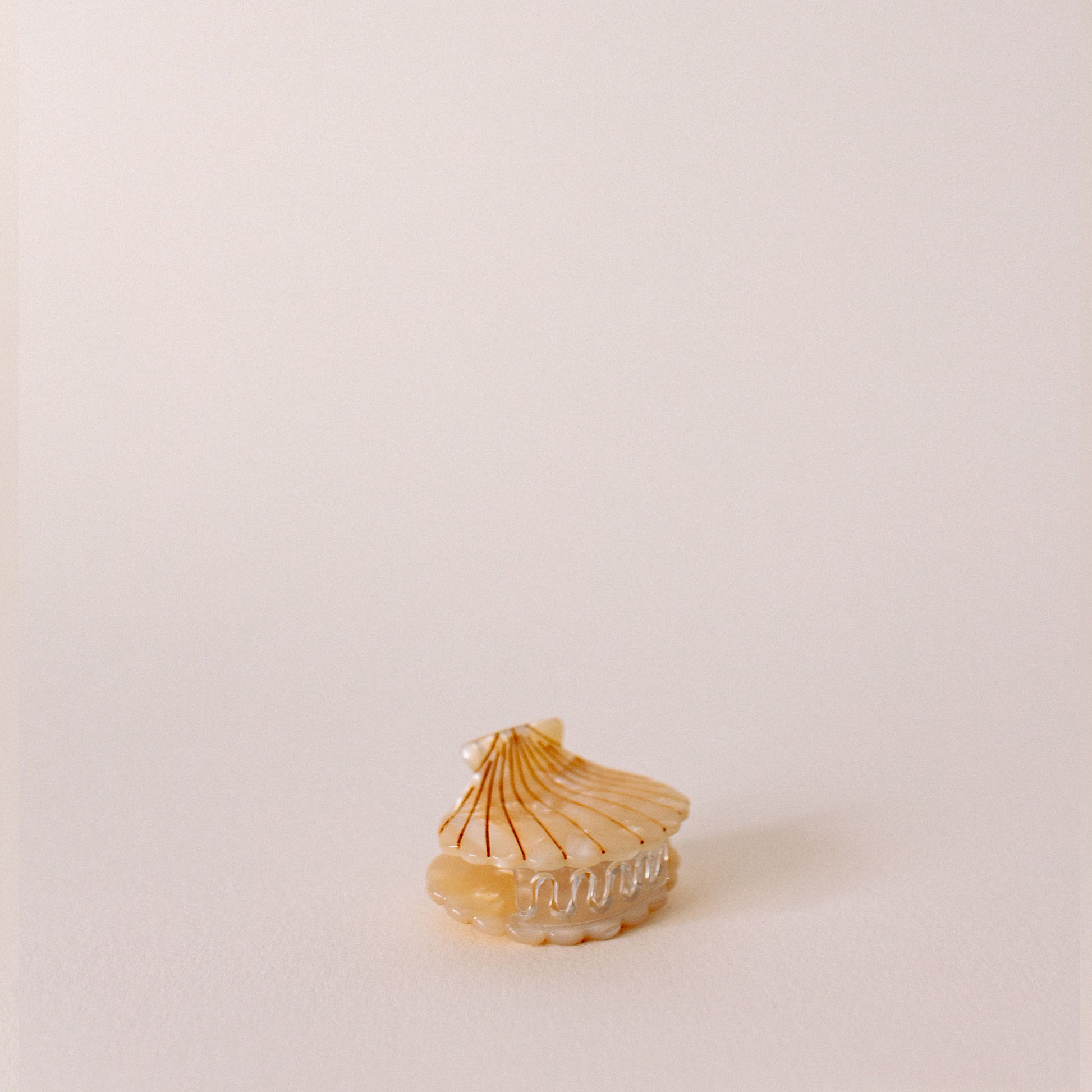 Shell Hair Clip - The St. Ives Co.