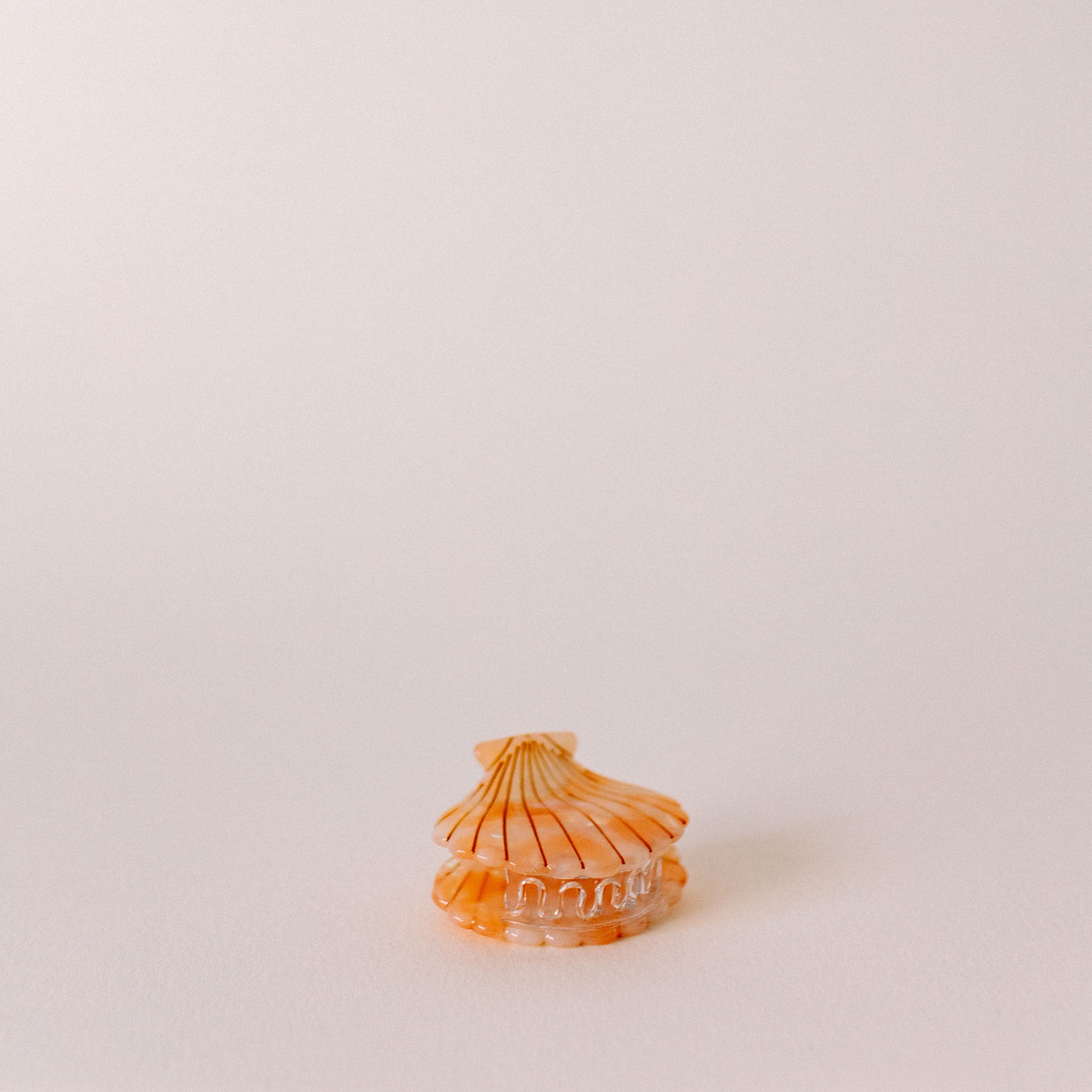 Shell Hair Clip - The St. Ives Co.