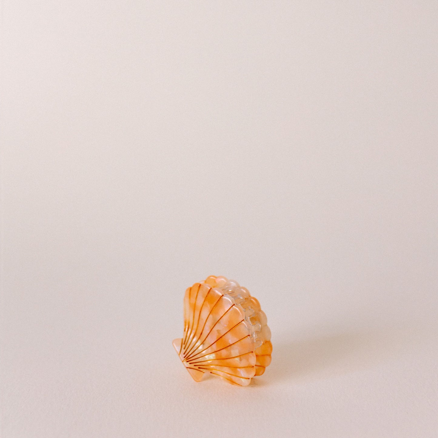 Shell Hair Clip - The St. Ives Co.