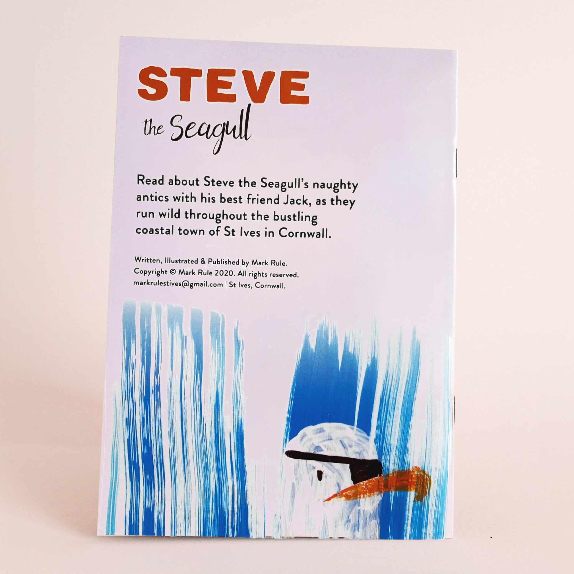 Steve the Seagull St. Ives Story Book - The St. Ives Co.