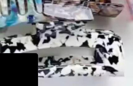 Black & White Fleck Claw Clip