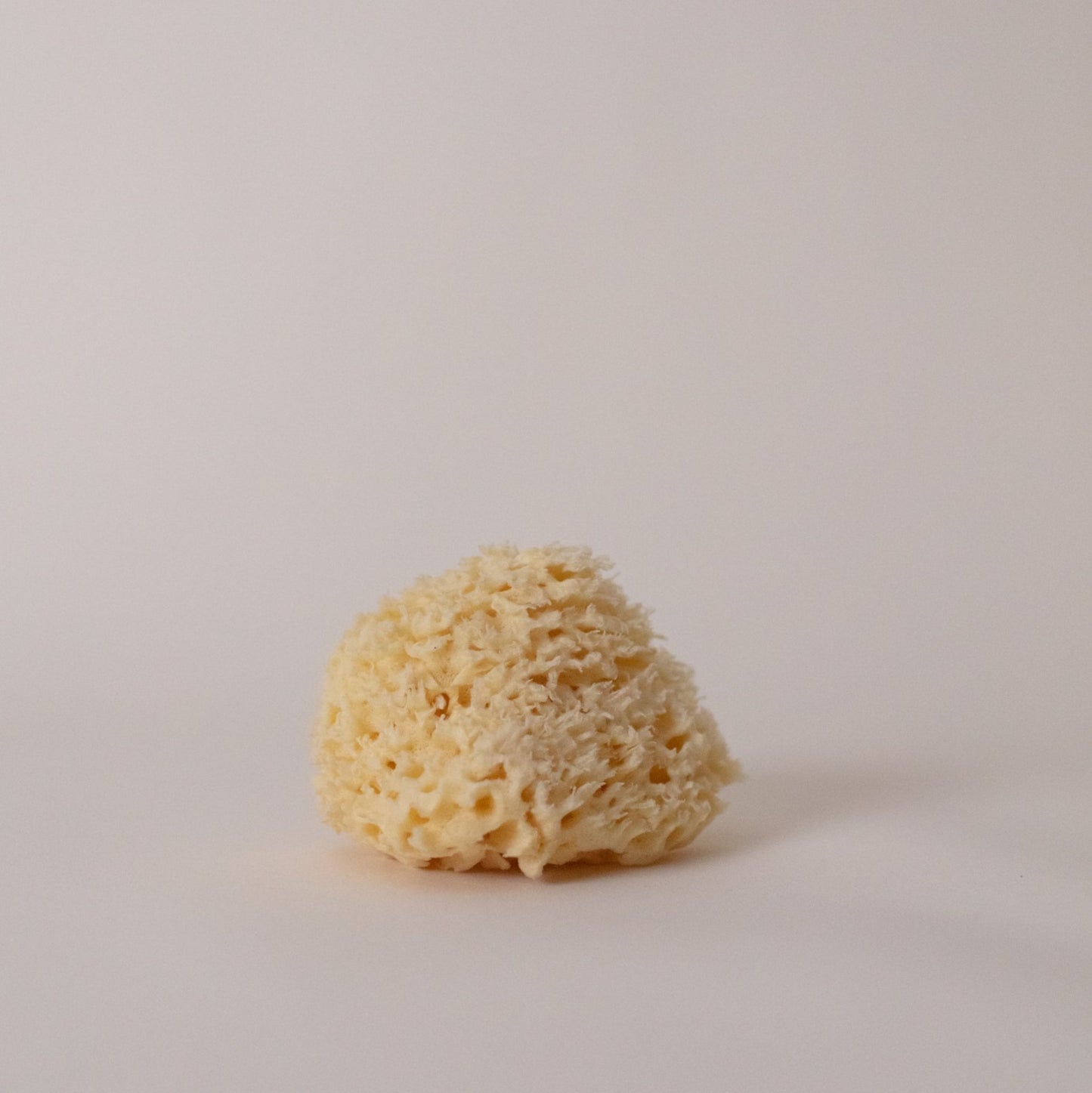 Honeycomb Sponge