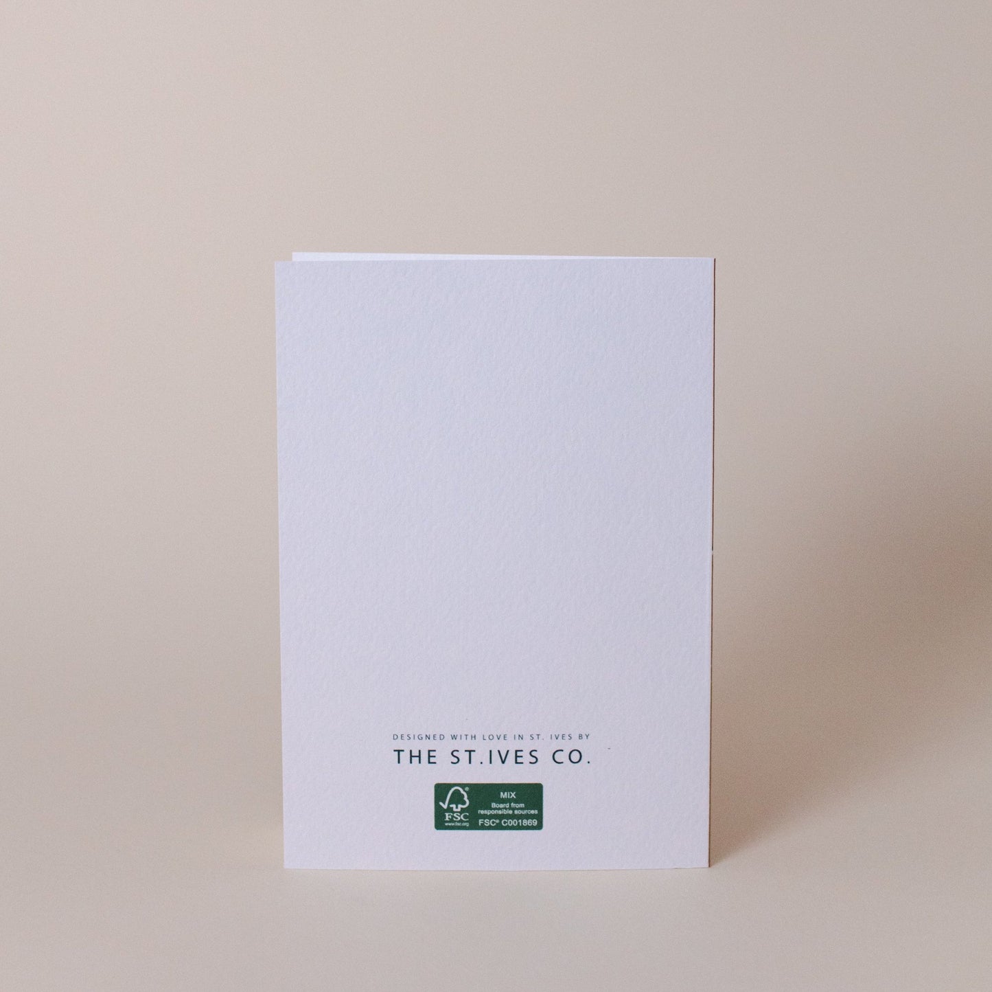 Multipack Set of 5 Portrait Christmas cards