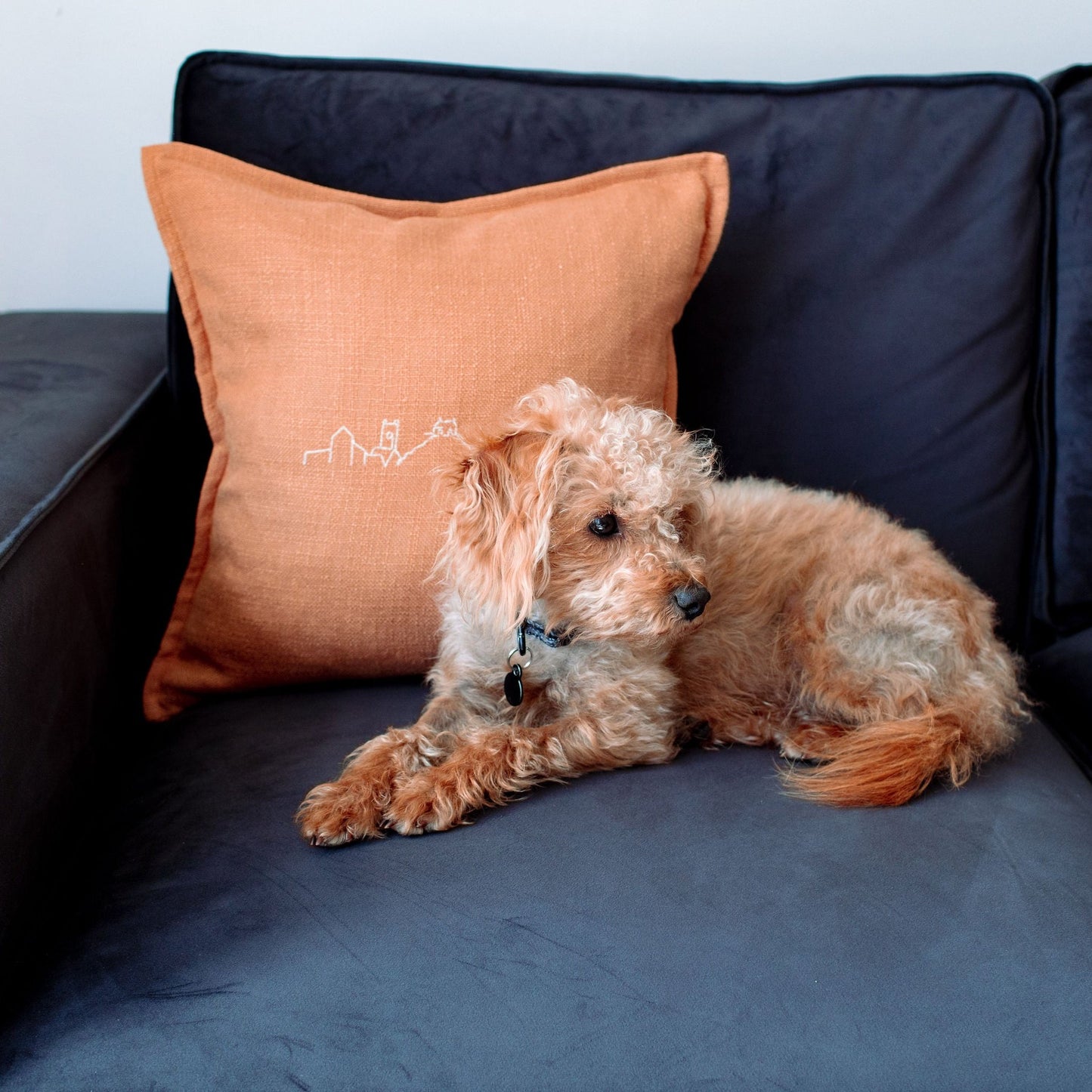 Rusty skyline cushion