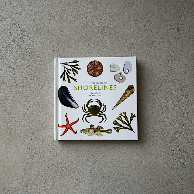 The little guide to SHORELINES bool- pocket guide. Cornwall. gift. book.