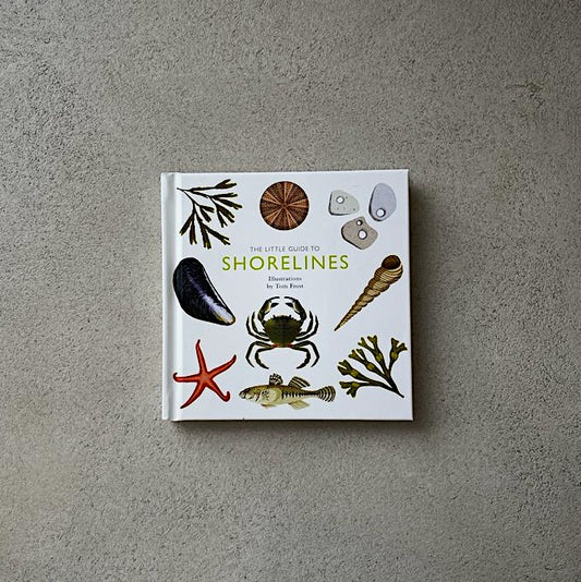 The little guide to SHORELINES bool- pocket guide. Cornwall. gift. book.