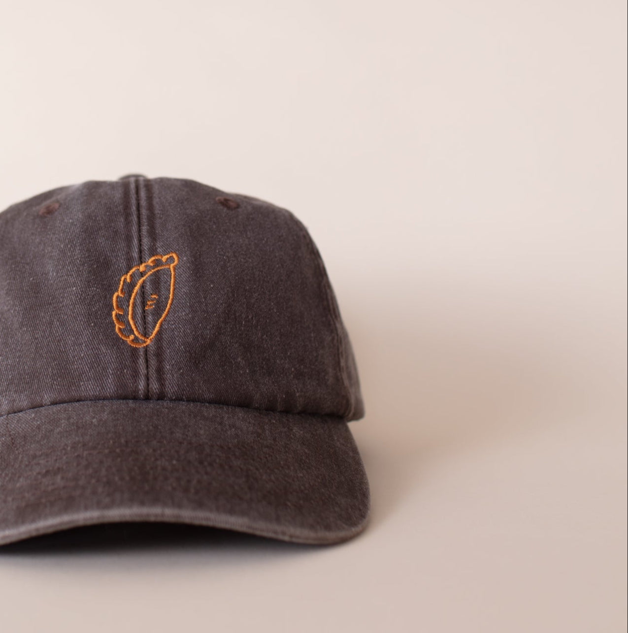 Pasty embroidered cap