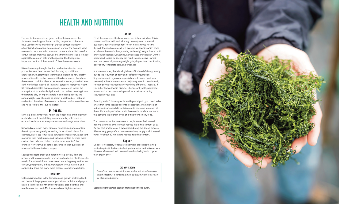 The Seaweed Cookbook-The Cornish Seaweed Company - The St. Ives Co. Cornwall Cornish Souvenir Holiday beach Unique Local Food Healthy Recipes