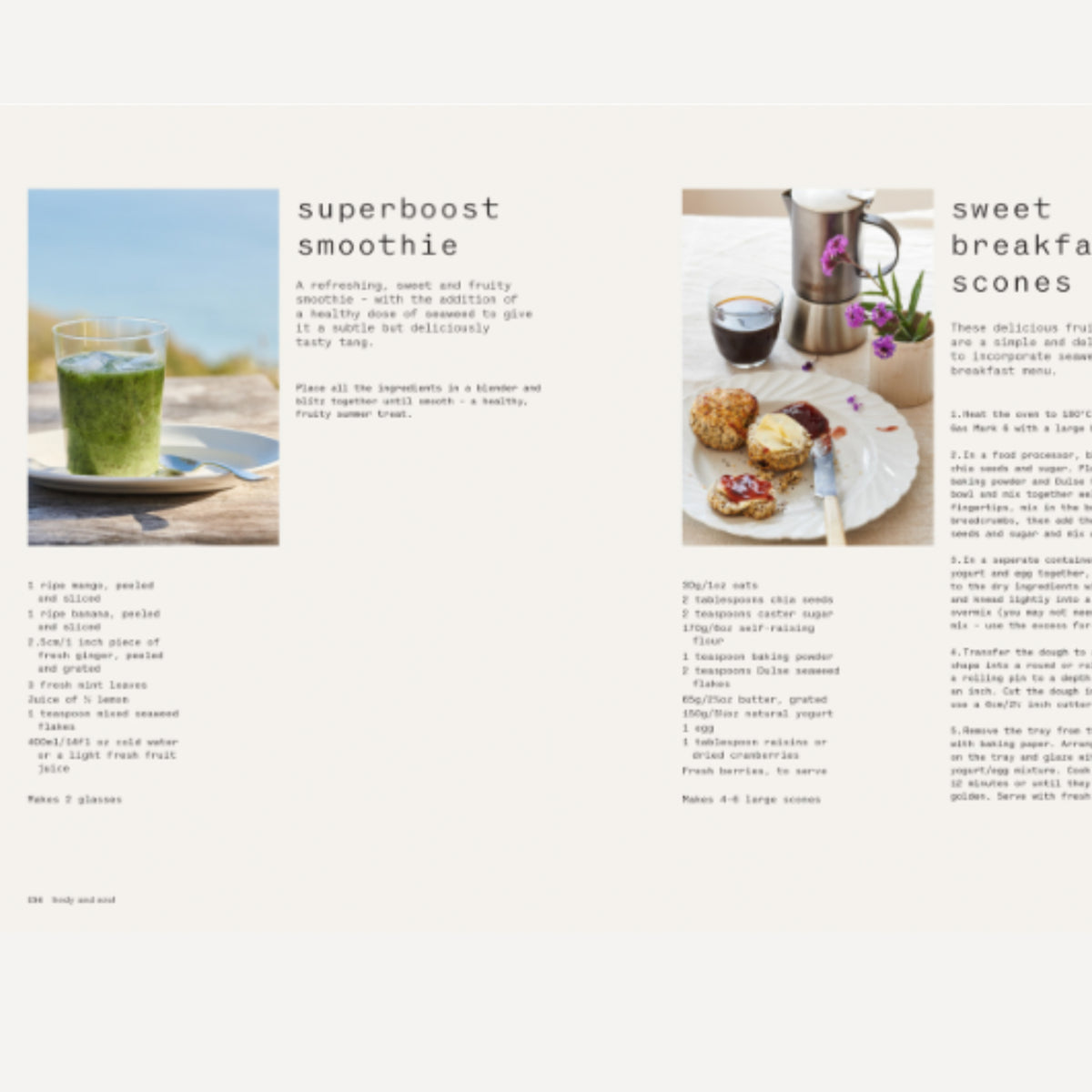 Seaweed: Foraging, Collecting, Pressing Book