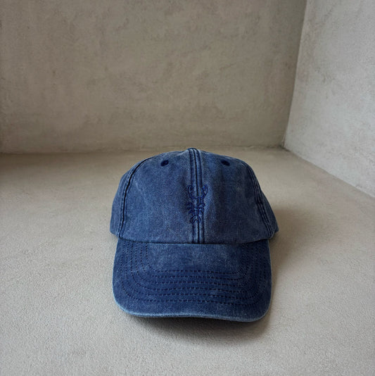Lobster embroidered cap