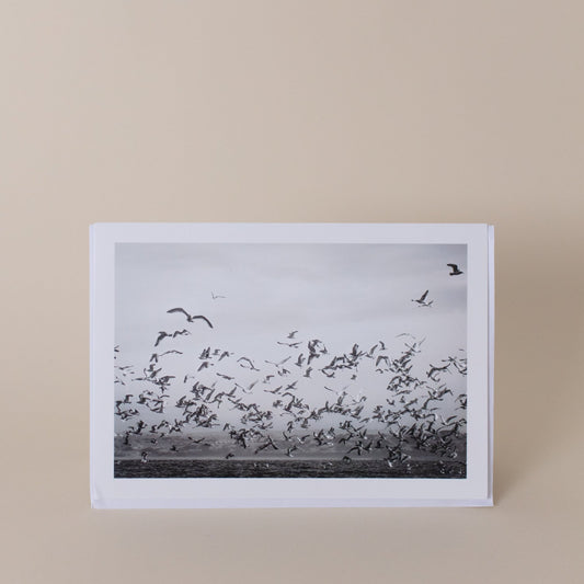 Black & White photograph taken by Nick Pumphrey greetings card - local artist- artisan- St Ives Cornwall- unique print 