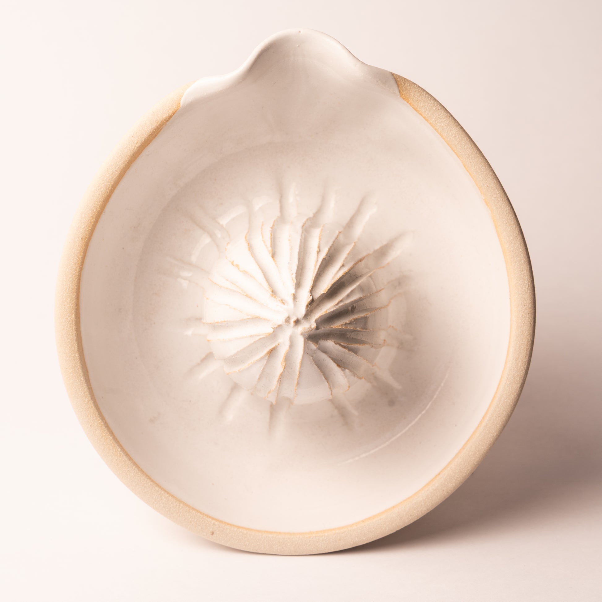 Ceramic Juicer - The St. Ives Co.