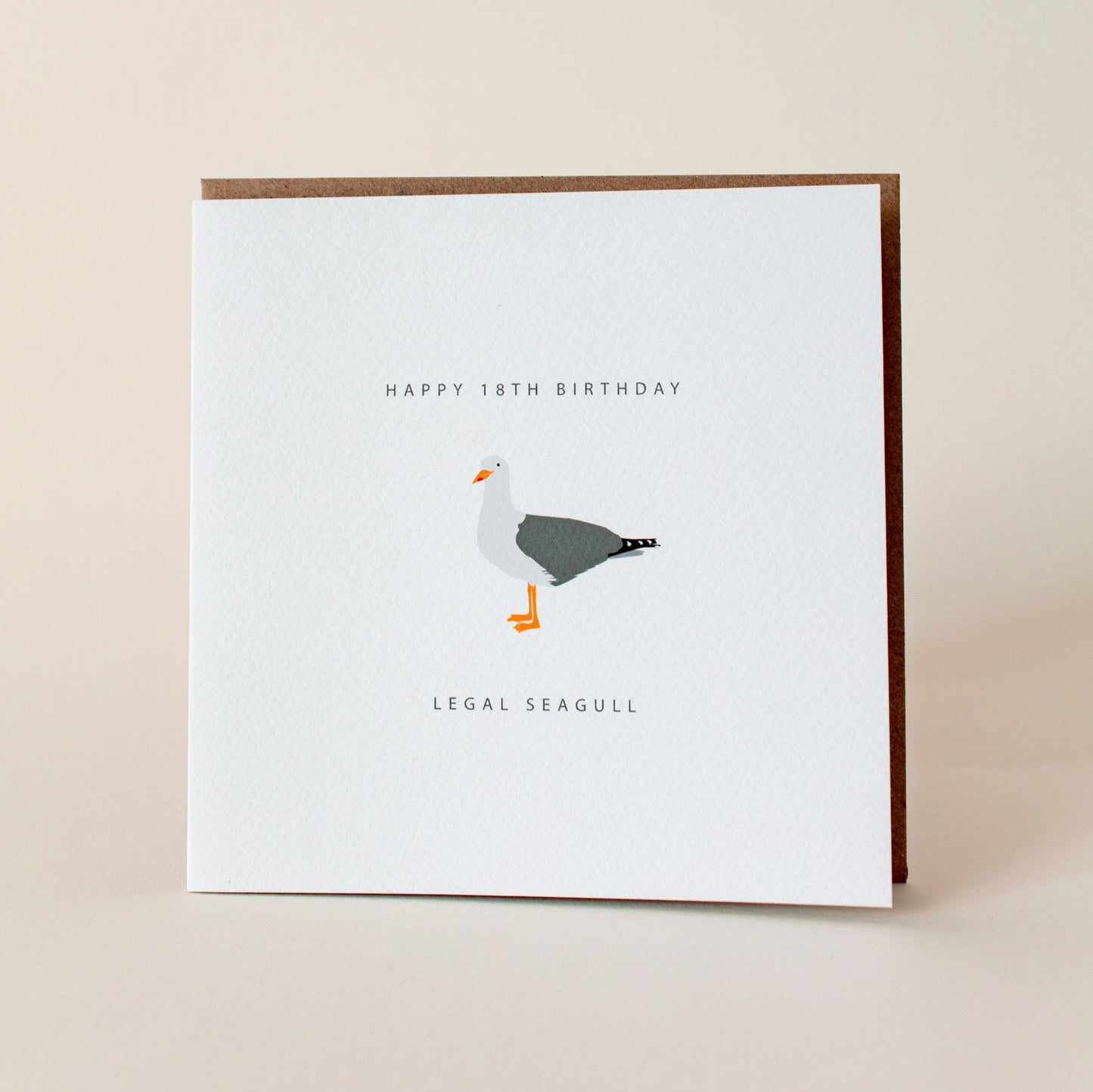 Legal Seagull 18th Greeting Card