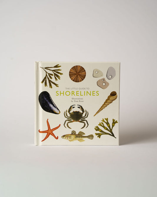 The Little Guide to Shorelines Book - The St. Ives Co.