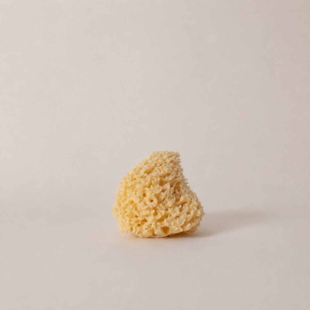 Honeycomb Sponge - The St. Ives Co.