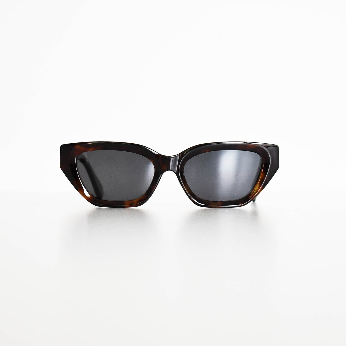 Chloe Tortoiseshell Sunglasses