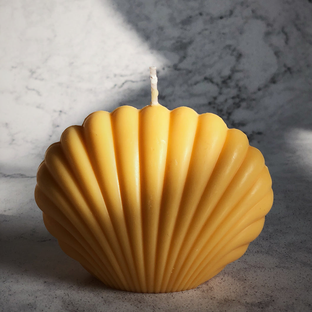 Mandarin Soy Wax Shell Candle - The St. Ives Co.